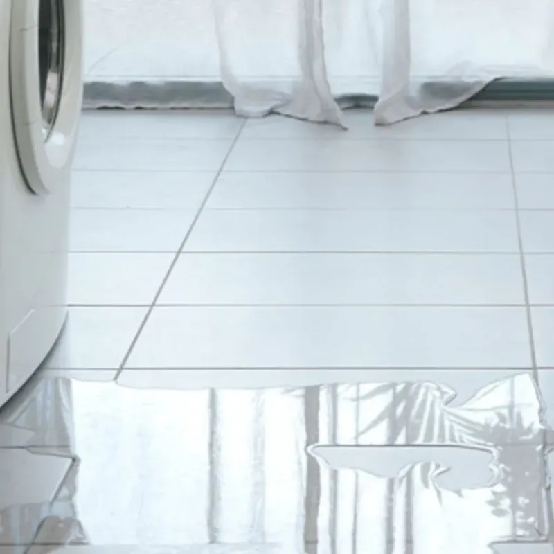 Appliance Leak Cleanup in Mill Valley, CA