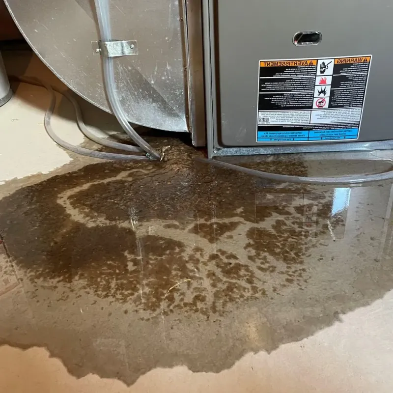 Pipe Burst and Leak Restoration in Mill Valley, CA